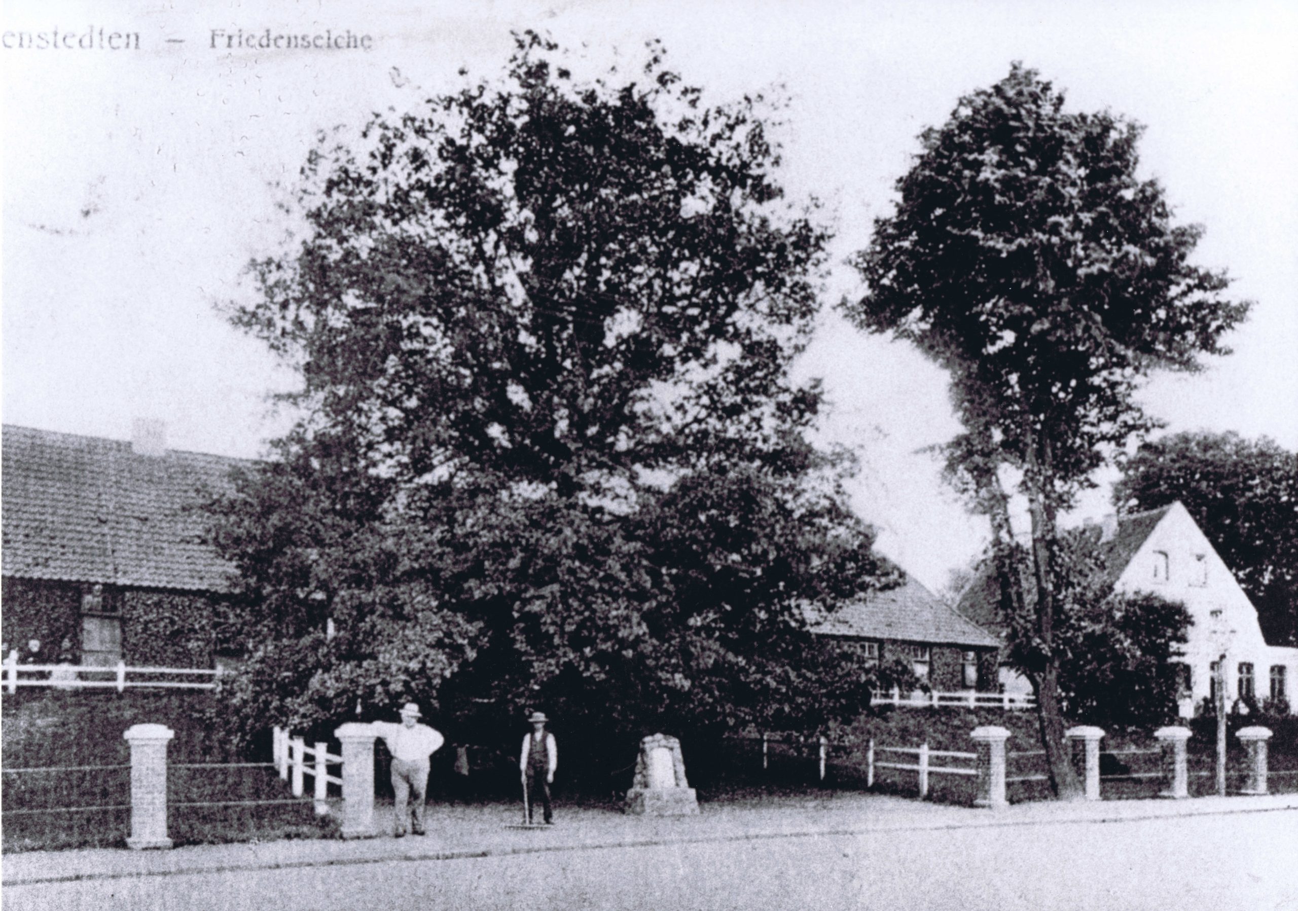 "Friedenseiche mit Präbendenhaus im Hintergrund (Hauptstraße 27)"
